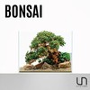 Ultum Nature Systems Bonsai - Handcrafted Hardscape Driftwood for Aquarium,