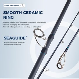 FISHAPPY Surf Rod Graphite Surf Spinning Fishing Rod with Seaguide Reel Seat (12' - 2 Piece)