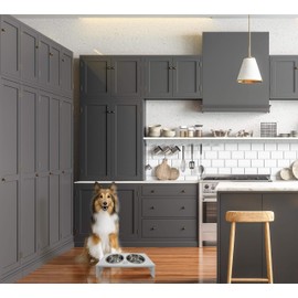 Research Labs Modern & Elegant Bamboo Elevated Dog Bowls/Cat Bowls. Our Durable & Beautiful Raised Pet Feeder Bowl Stand Includes 2 Stainless Steel Food & Water Bowls. Perfect for Smaller Pets, White