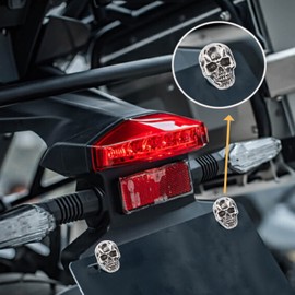 Temzzer Skull License Plate Bolts Anti-Theft Car Tag Frame Screws for Most Vehicle Motorcycle 4 PCS (Silver 2)