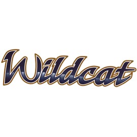 Wildcat 1 Rv Trailer Logo Decal Graphic -727-2
