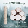 6 Pack Birch Logs Decorative Birch Branches Natural Birch Log