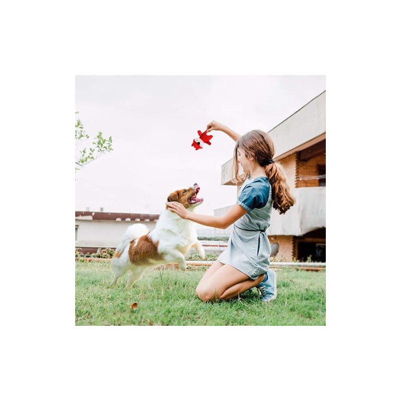 LEGEND SANDY - Juguetes chirriantes para perros pequeños y medianos,
