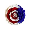 PRESERVEDUSA Preserved rose with USA flag