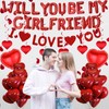 Will You Be My Girlfriend - 554 Pcs Balloons Decorations