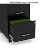 Staples 2-Drawer Light Duty Vertical File Cabinet, Locking, Letter, Black,