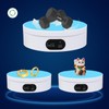 MYMULIKE Motorized Rotating Display Stand, Electric Rotating Turntable with PVC