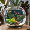 Xinjoduz 3 PCS Betta Leaf Hammock Fish Leaf Pad Fish
