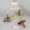 BIBS Chuponess Try-it Colour Liberty Eloise, Pack de 3, Tetina