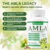 Amla Capsules, Amla Superfruit Capsules 1000mg, Amla Fruit Extract, Amla