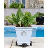 Potty Feet Elephant Figures Plant Pot Feet Planter Riser -