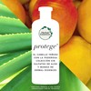 Botanicals Aloe & Mango Champú 380 ml