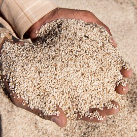 Weleda moisturising cream for men, pack of 1 (1 x 30 ml)