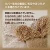 Urn Cover, Single Item, Fuwamoko, 5 Inches, Ears and Tail,