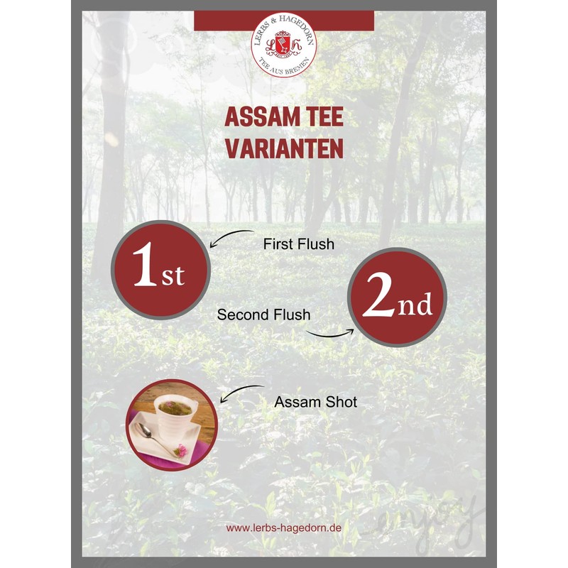 Lerbs & Hagedorn, Assam Tea TGFOP "Mokalbari" | Strong, Malty