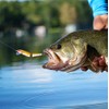 Rapala J9-S Minnow Floating Jointed Lure, 3.5 inches (9 cm),