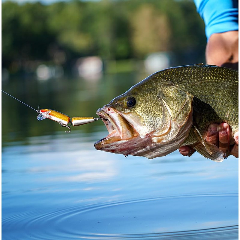 Rapala J9-S Minnow Floating Jointed Lure, 3.5 inches (9 cm),