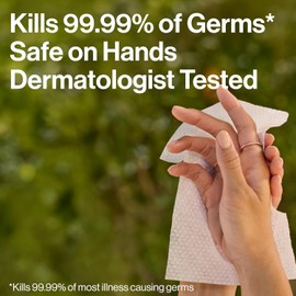 The Honest Company Fragrance-Free Sanitizing Alcohol Wipes, Antibacterial with Aloe, Kills 99% of Germs, 150 Count