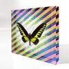 Trogonoptera Brookiana Butterfly | Petite Art Block - Color: Gradient