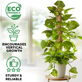 Premium Moss Pole for Plants - Strong & Durable 4-Pack Plant Support Stakes - 16.5" Extendable Poles for Monstera & Climbing Plants - 100% Natural Garden Sticks - Complete Kit w/Ties, Velcro & Rope
