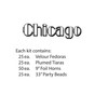Chicago Asst for 50 Party Accessory (1 count)