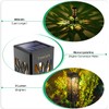 TomCare Solar Lights Outdoor Upgraded Bright Solar Pathway Lights Bigger