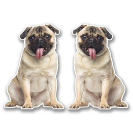 2 x 10cm Tan Pug Vinyl Sticker Decal Laptop Tablet Car Dog Animal Fun #6297 (7cm Wide x 10cm Tall)