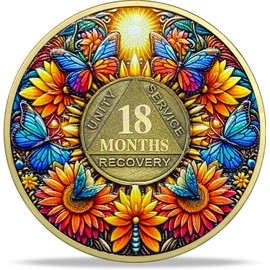 18 Month Sobriety Coin Gifts | Sun and Boat Butterfly AA Coin - HA AA Chip Medallion with Serenity Prayer | Narcotics Alcoholics Anonymous Gifts for Anniversary Year for Men & Women in Recovery
