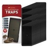 LULUCATCH Mouse Traps 48 Pack, Large Bulk Glue Rat Traps
