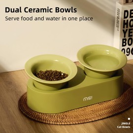 MS!MAKE SURE Dog Cat Bowls, Elevated Ceramic Cat Food and Water Bowl Set, 15° Tilted Cat Dishes with Stand, Non-Slip & Whisker Friendly - Green