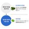GIK UV 자외선 차단 아웃도어 프로텍션 골프 썬 패치 5회분