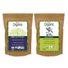 Radico Colorless Henna Leaf Powder Pack of 2 (2 x