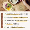 【Ferritin Iron】Lepeel Organics Iron Supplement for Iron Deficiency Repeel Mame