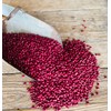 Unearthed Small Red Beans, Premium Quality Plant-Based Protein, Gluten-Free, Non-GMO,