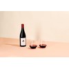 Sempli Monti Rosso Stemless Wine Glasses Set of 2 -