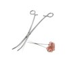 Panther Surgical 12 Inch Curved Stainless Steel Copping Crafting Sea