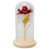 Rose in Glass Dome Lucky Beautiful Symbolism Romantic Enchanted Rose