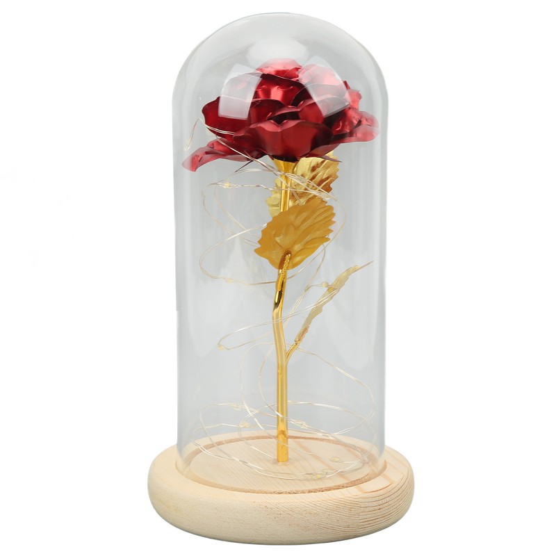 Rose in Glass Dome Lucky Beautiful Symbolism Romantic Enchanted Rose