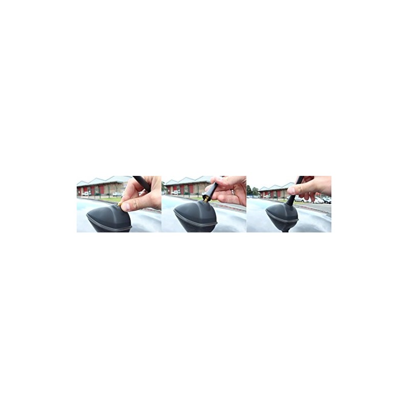 Premium Car Aerial Antenna AM/FM Radio Bee Sting Roof Mast