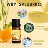 Salubrito Citrus Essential Oils Set for Diffuser, Fragrance Oil |