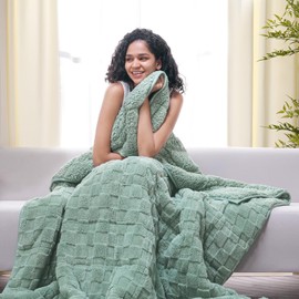 Drewin 15lbs Weighted Blanket Queen Size, Classy Soft Jacquard Checkered Sherpa Weighted Blankets for Sleep Natural and Calming, Cozy Fluffy Heavy Blanket for Sofa Bed, 60 x 80 inches, Sage Green