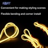LED Neon Rope Lights 32.8FT 10M 120V AC Plug-in LED