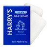 Harry's Bar Soap for Men - Stone Scent, 4 oz
