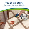 Bissell Woolite Free & Clear, Pet Stain & Odor Remover,