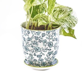 CHIVE ‘Liberte’ Ceramic Succulent Pots — 4.25” Cute Vintage Farmhouse Style Planters for Indoor Plants — Beautiful Home & Kitchen Decor — Green Flowers