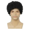 Salaibs Afro Black Wigs for Men 80s Short Curly Elf