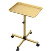 Salon Tray Cart, Salon Rolling Tray Adjustable Height, Tattoo Tray,