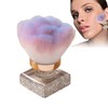 Nail Dust Brush, Makeup Brushes Blush Contour, Multi-Functional Make up