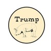 CafePress Trump Pig, Anti Trump Oval Car Magnet, Euro Oval
