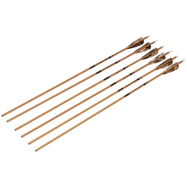 Gold Tip Traditional Arrows with 4-Inch Feathers (Pack of 6), Brown, 600